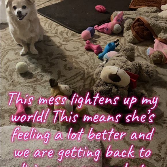 ✨MY BIG WHY✨ - Picture 6 of 16